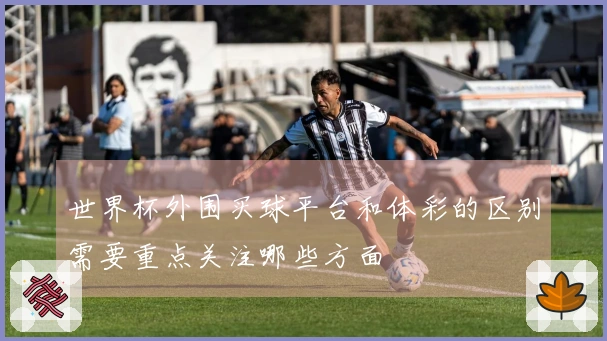 世界杯外围买球平台和体彩的区别需要重点关注哪些方面