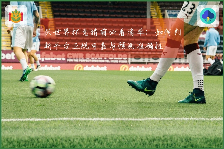 买世界杯竞猜前必看清单：如何判断平台正规可靠与预测准确性