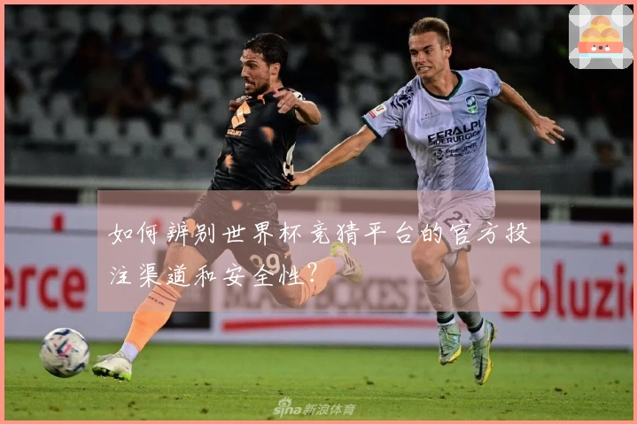 如何辨别世界杯竞猜平台的官方投注渠道和安全性？