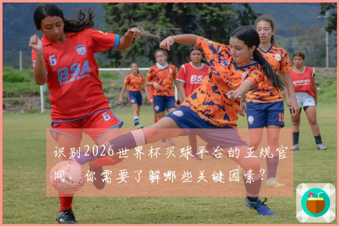 识别2026世界杯买球平台的正规官网，你需要了解哪些关键因素？