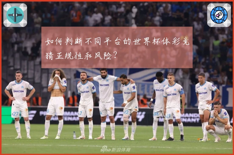 如何判断不同平台的世界杯体彩竞猜正规性和风险？