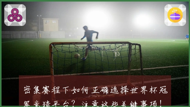 密集赛程下如何正确选择世界杯冠军竞猜平台？注意这些关键事项！