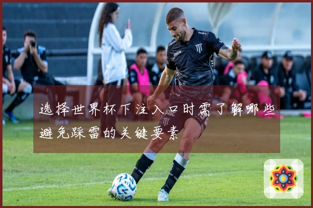 选择世界杯下注入口时需了解哪些避免踩雷的关键要素
