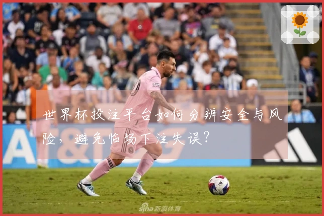 世界杯投注平台如何分辨安全与风险，避免临场下注失误？