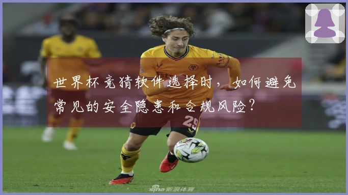 世界杯竞猜软件选择时，如何避免常见的安全隐患和合规风险？