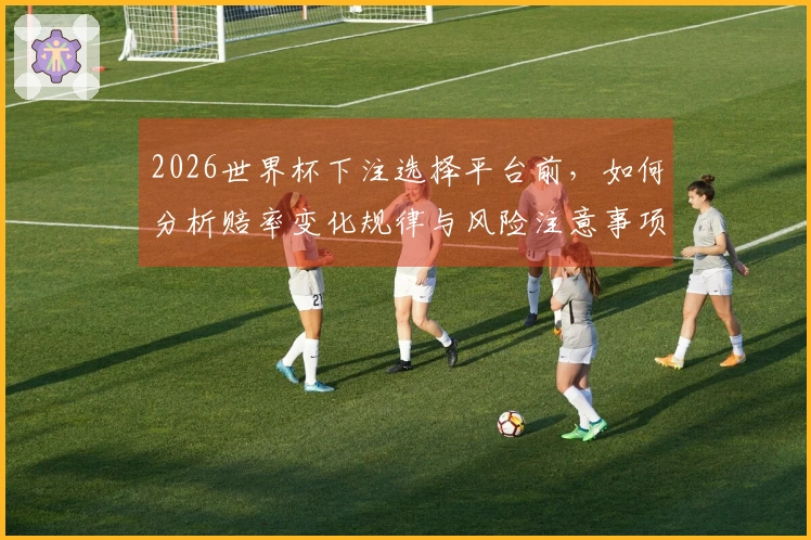 2026世界杯下注选择平台前，如何分析赔率变化规律与风险注意事项