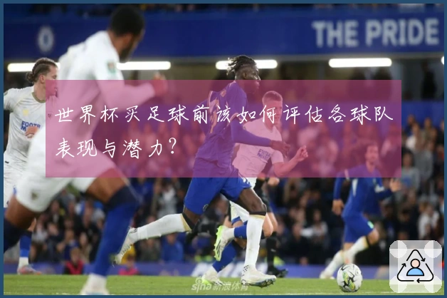 世界杯买足球前该如何评估各球队表现与潜力？