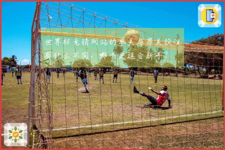 世界杯竞猜网站的单关与串关投注有什么不同，哪个更适合新手？