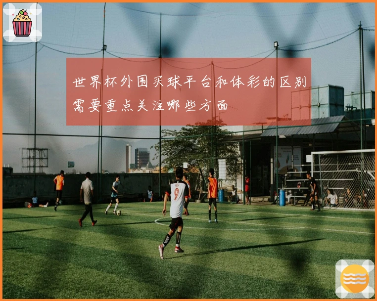 世界杯外围买球平台和体彩的区别需要重点关注哪些方面