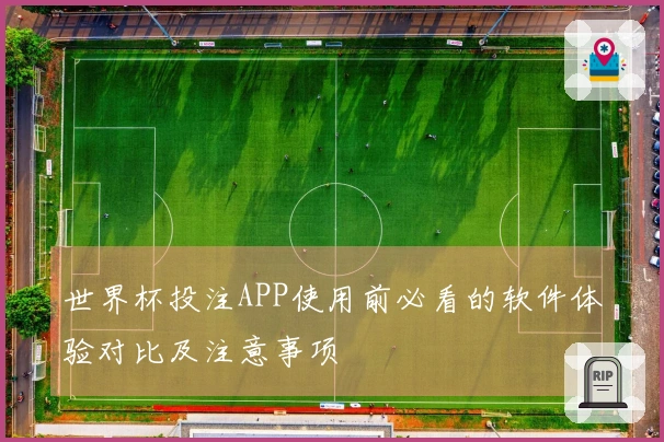 世界杯投注APP使用前必看的软件体验对比及注意事项
