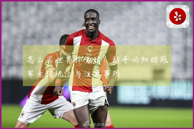 怎么买世界杯竞猜？新手必知的冠军竞猜玩法与注意事项