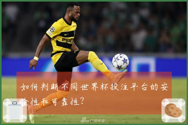 如何判断不同世界杯投注平台的安全性和可靠性？