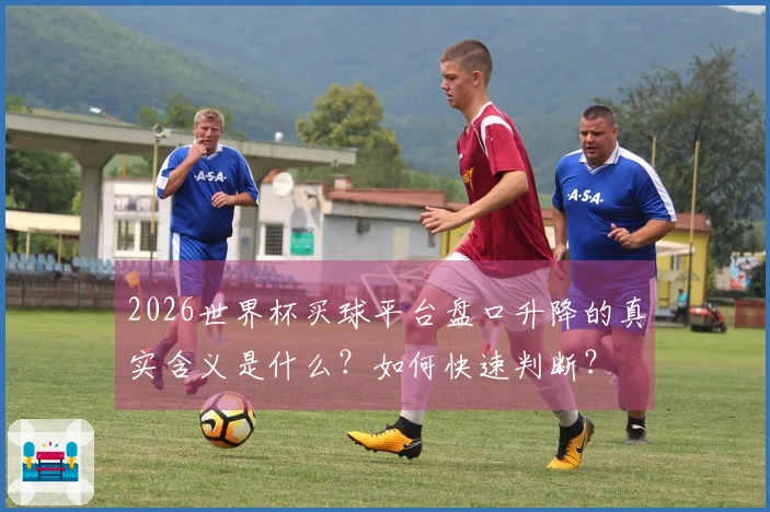 2026世界杯买球平台盘口升降的真实含义是什么？如何快速判断？