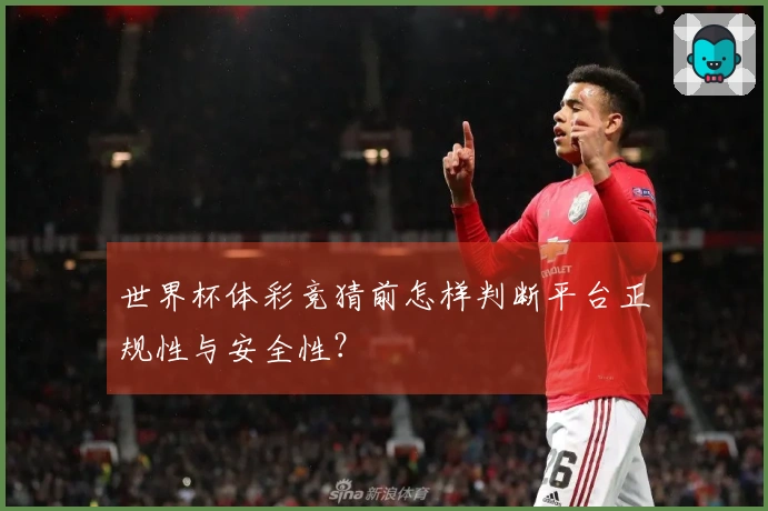 世界杯体彩竞猜前怎样判断平台正规性与安全性？