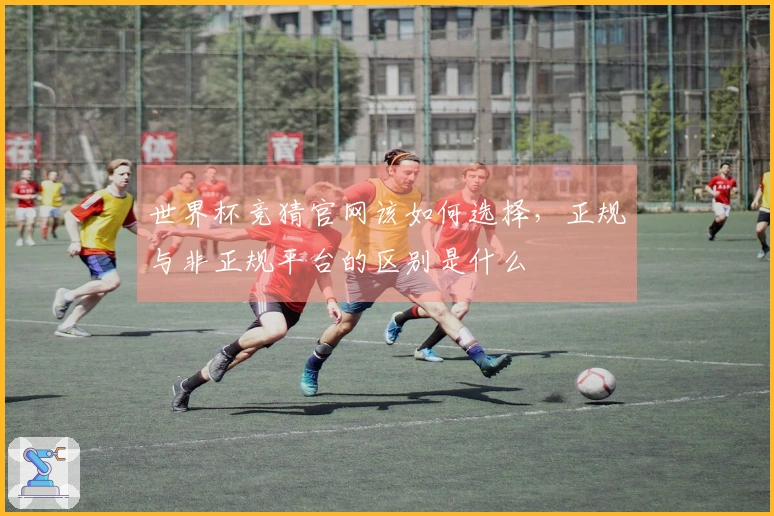 世界杯竞猜官网该如何选择，正规与非正规平台的区别是什么