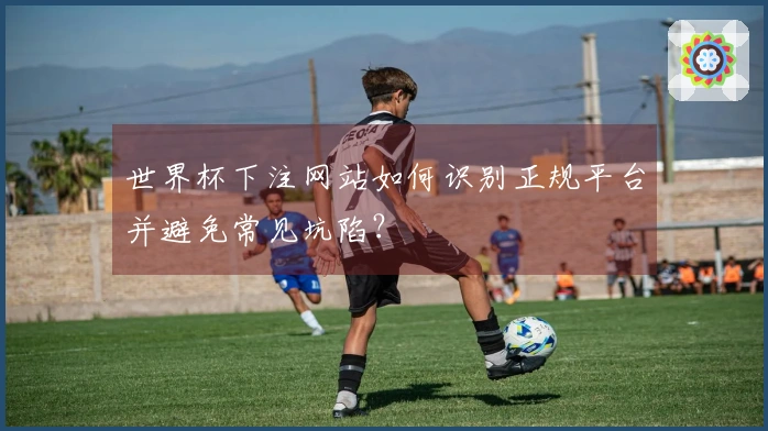 世界杯下注网站如何识别正规平台并避免常见坑陷?