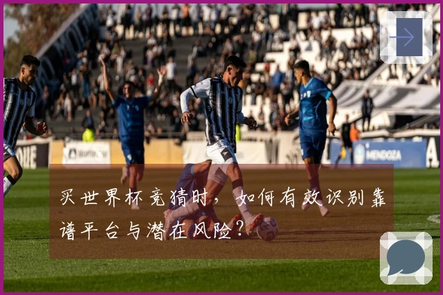 买世界杯竞猜时，如何有效识别靠谱平台与潜在风险？