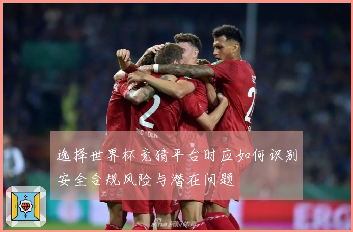 选择世界杯竞猜平台时应如何识别安全合规风险与潜在问题