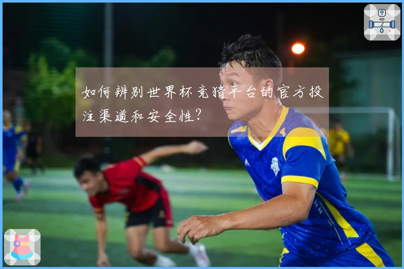 如何辨别世界杯竞猜平台的官方投注渠道和安全性?