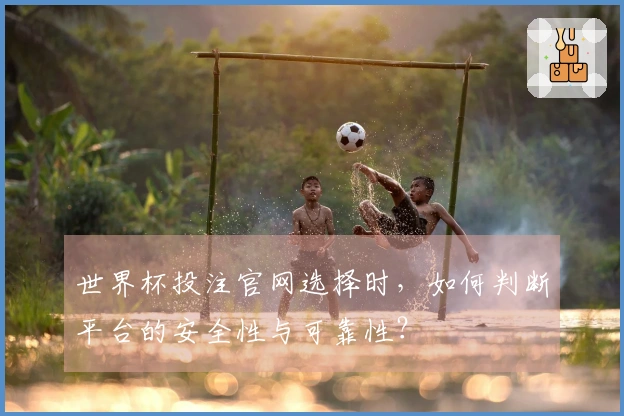 世界杯投注官网选择时，如何判断平台的安全性与可靠性？