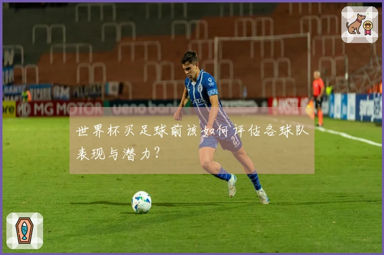 世界杯买足球前该如何评估各球队表现与潜力？