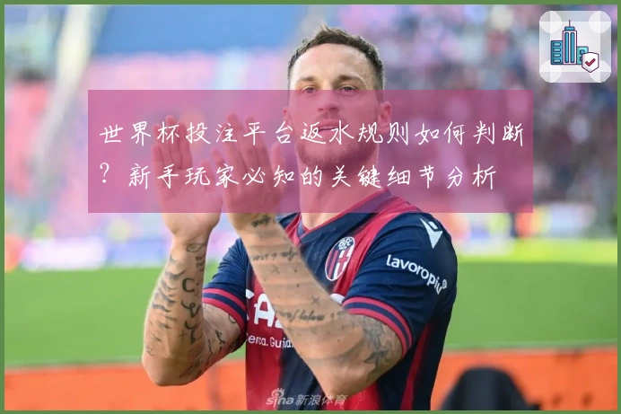 世界杯投注平台返水规则如何判断？新手玩家必知的关键细节分析