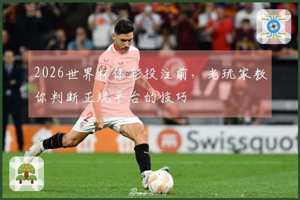 2026世界杯体彩投注前，老玩家教你判断正规平台的技巧