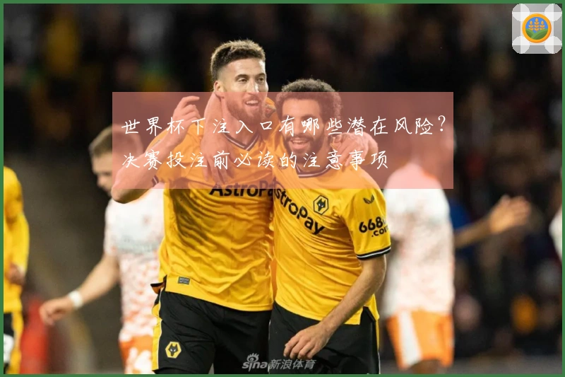 世界杯下注入口有哪些潜在风险？决赛投注前必读的注意事项