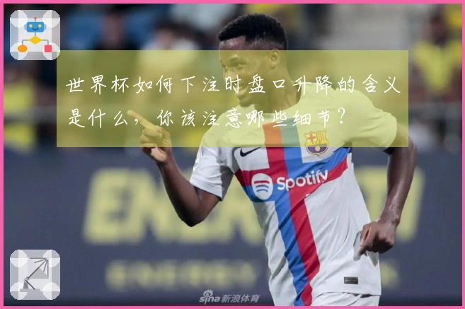 世界杯如何下注时盘口升降的含义是什么，你该注意哪些细节？