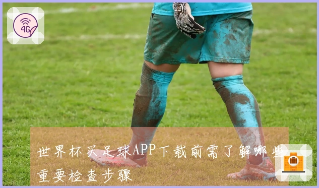 世界杯买足球APP下载前需了解哪些重要检查步骤