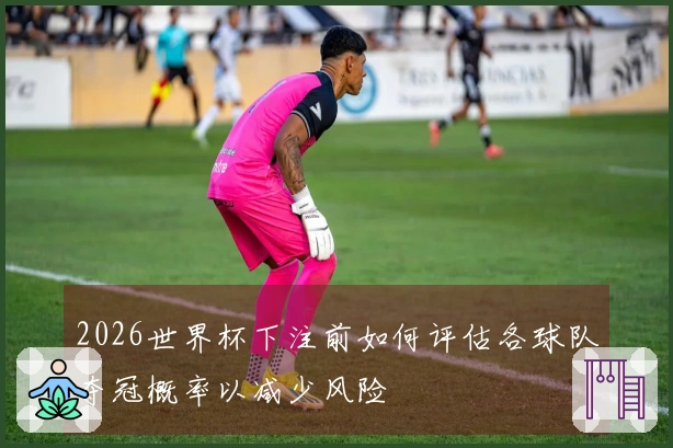 2026世界杯下注前如何评估各球队夺冠概率以减少风险