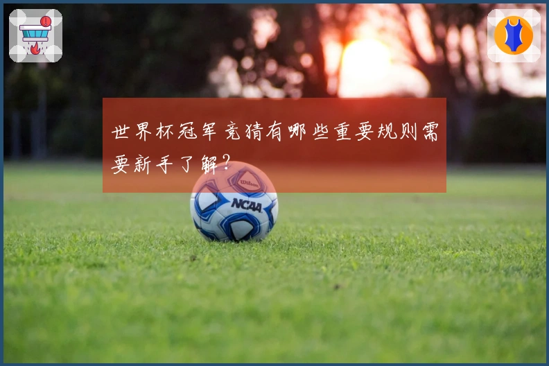 世界杯冠军竞猜有哪些重要规则需要新手了解？