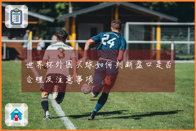 世界杯外围买球如何判断盘口是否合理及注意事项