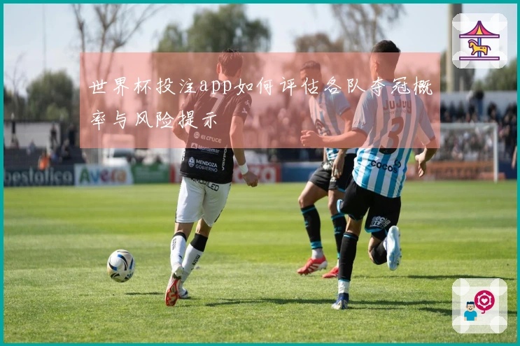 世界杯投注app如何评估各队夺冠概率与风险提示