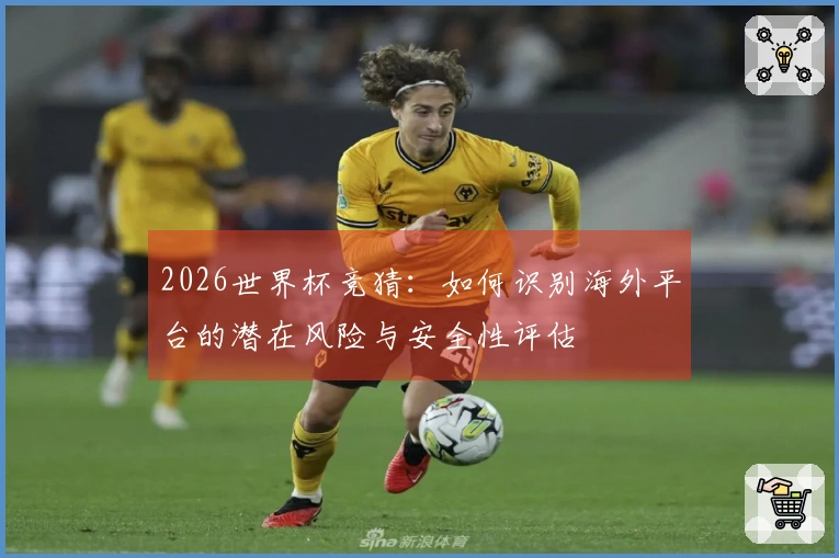 2026世界杯竞猜：如何识别海外平台的潜在风险与安全性评估