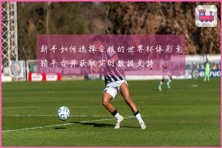 新手如何选择合适的世界杯体彩竞猜平台并获取实时数据支持
