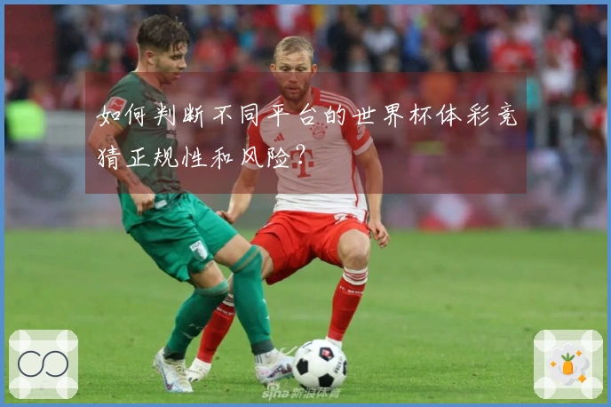 如何判断不同平台的世界杯体彩竞猜正规性和风险？