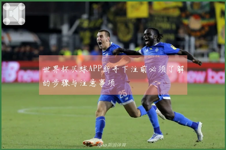 世界杯买球APP新手下注前必须了解的步骤与注意事项