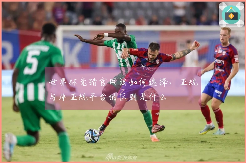 世界杯竞猜官网该如何选择,正规与非正规平台的区别是什么